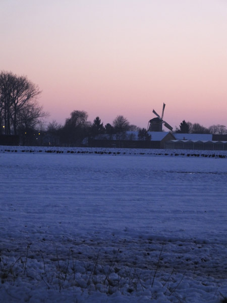 DSCF0283