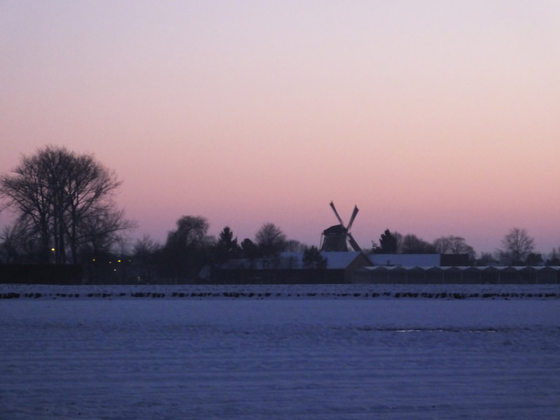 DSCF0284