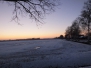 Griebelgrauw 2014