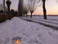 DSCF0282