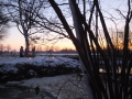 DSCF0292