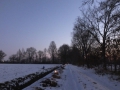 DSCF0296
