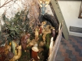DSC01419