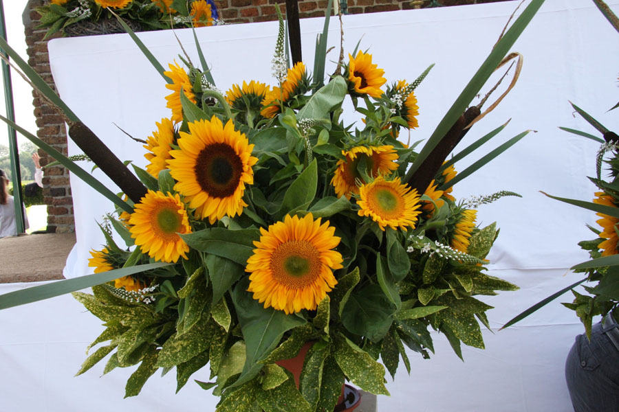 Openluchtmis2014 (10)