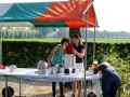 Openluchtmis2014 (6)