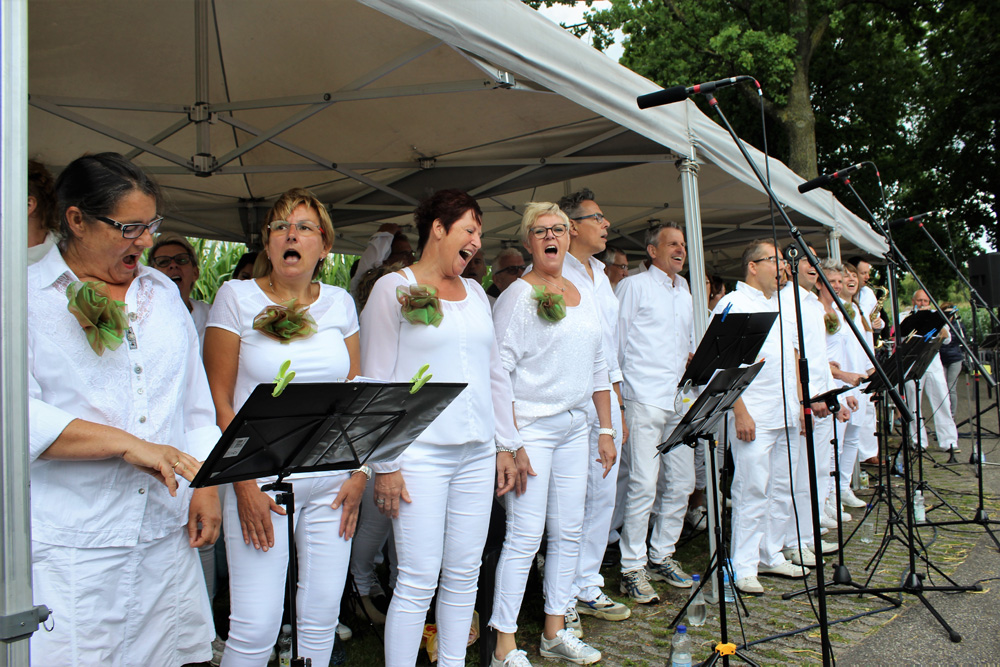 Openluchtmis_23072017_PvdE_(22)