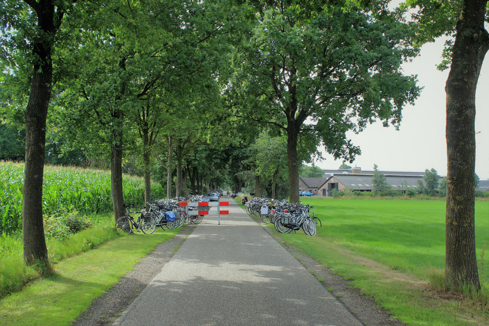 Openluchtmis_23072017_PvdE_(27)