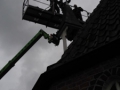 Z20170519_103649 (7)