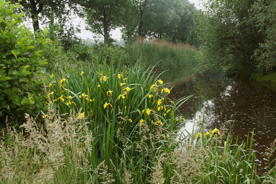 04-06-2016 Opening watertappunt Esdonks kapelleke. Foto Johan van de Laar. 001