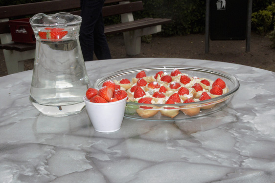 04-06-2016 Opening watertappunt Esdonks kapelleke. Foto Johan van de Laar. 025