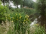 Watertappunt