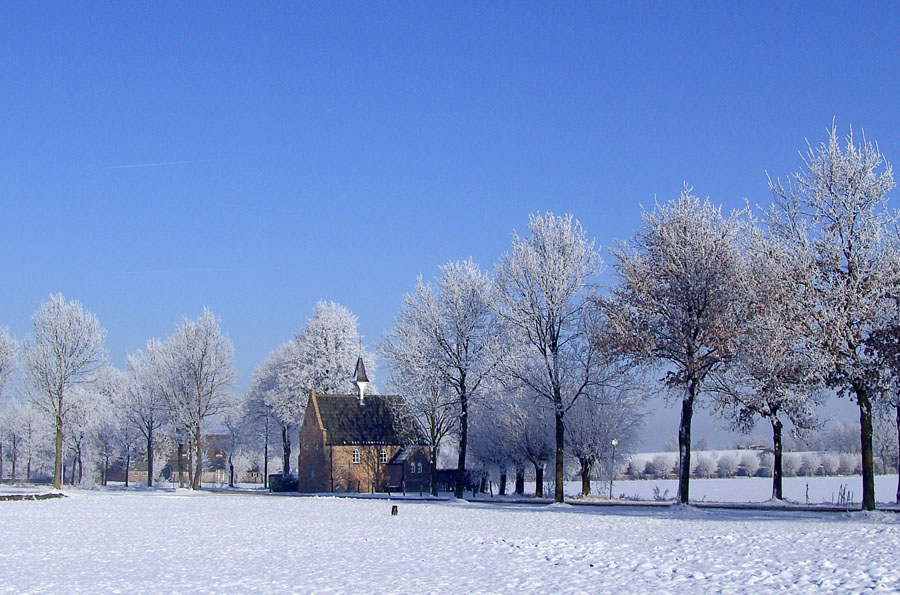 Esdonk 09.01.2009 008a
