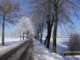 Winter in Esdonk
